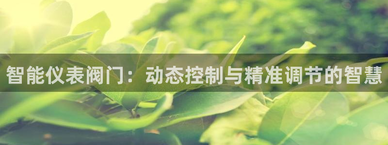 云顶国际装饰设计