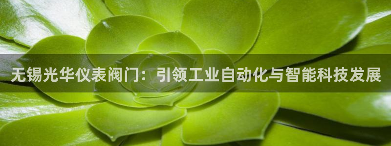 云顶国际大酒店有外卖吗