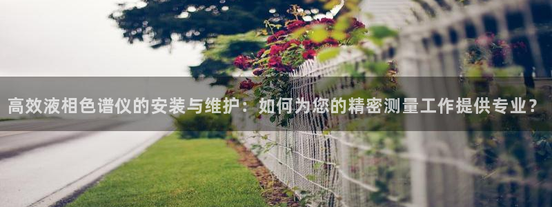 云顶国际酒店老板简介