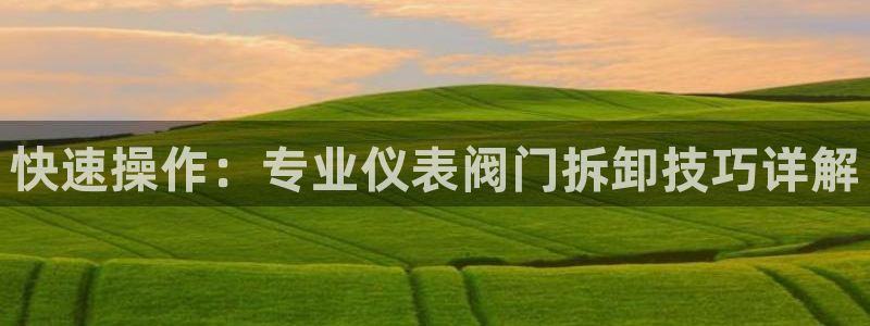 云顶集团公司官网