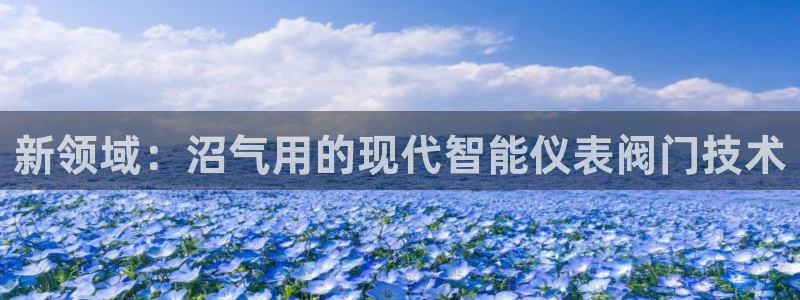云顶电竞下载