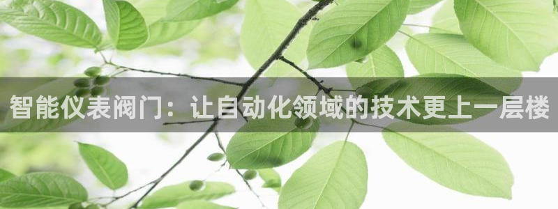 云顶国际集团官网