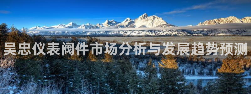 云顶国际app是什么游戏