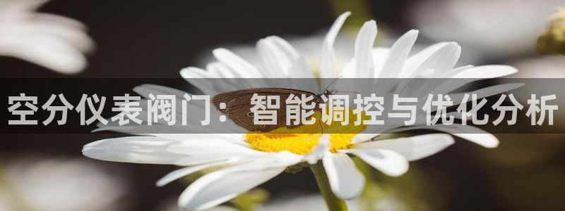 云顶国际服什么时候更新赛季