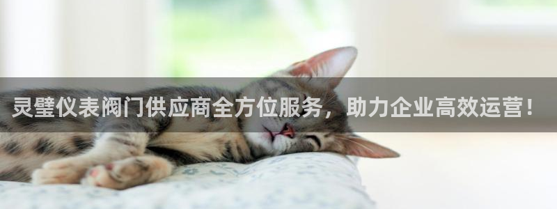 云顶国际高中学费多少