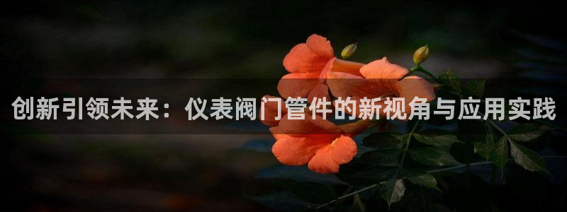 云顶国际连接