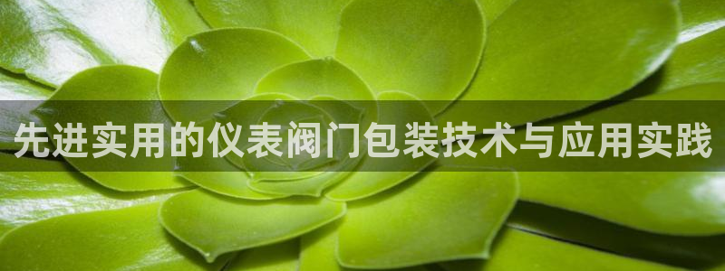云顶国际物流电话