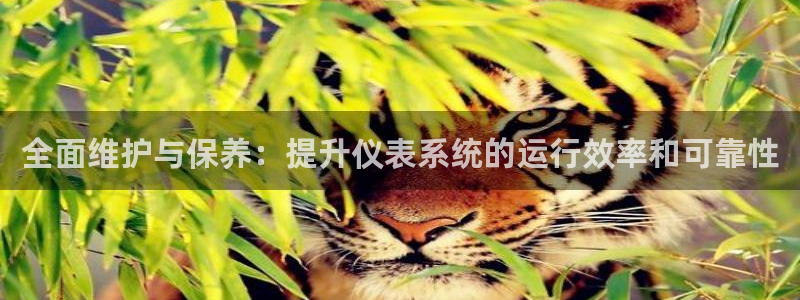 云顶国际大酒店位于哪个街道