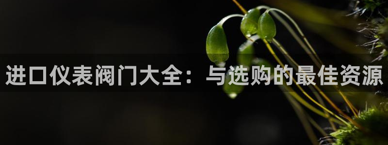 云顶国际提现失败怎么办