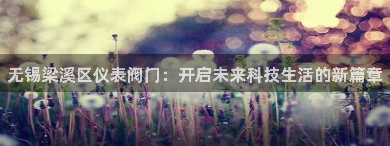 云顶国际服和端游互通吗