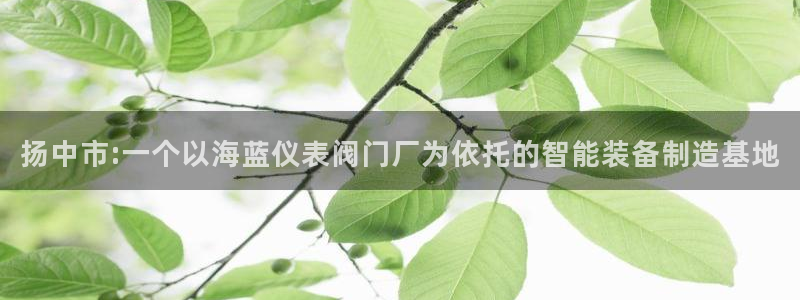云顶国际app手机版