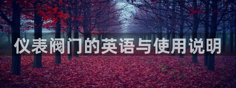 云顶国际装饰设计 宁波