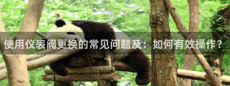 云顶国际服什么时候更新s9.5