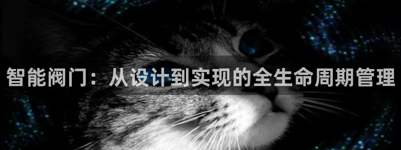 云顶国际商业广场 停车