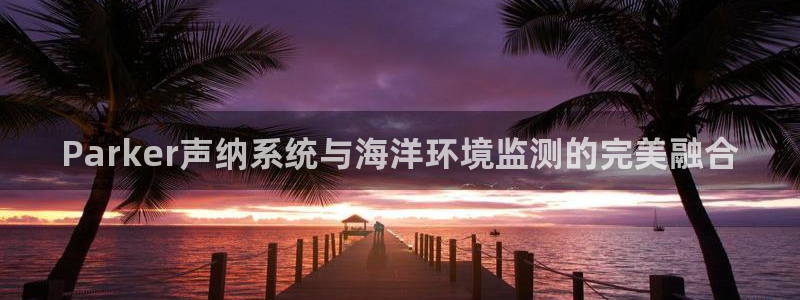 云顶集团王天才简介