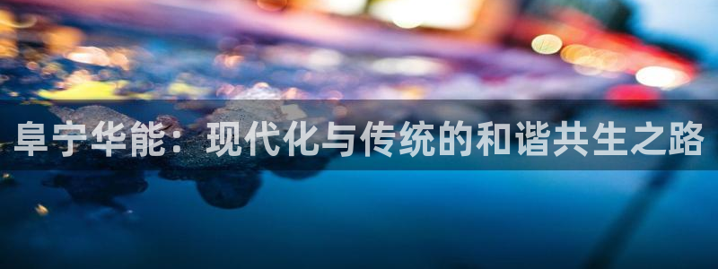 云顶国际服账号