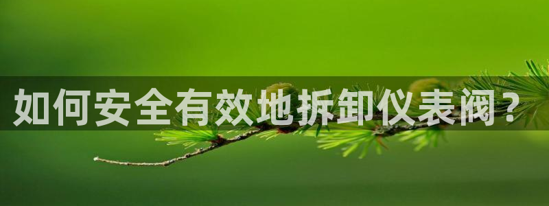 云顶国际的客服几点在线