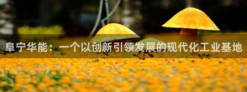 云顶国际会议中心地址