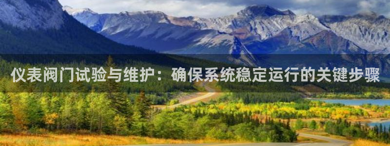 云顶集团有限公司简介