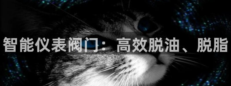 云顶集团app免费下载安卓