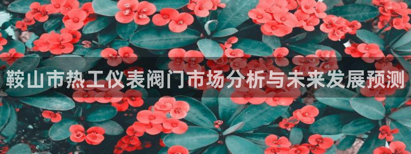 云顶国际服自定义