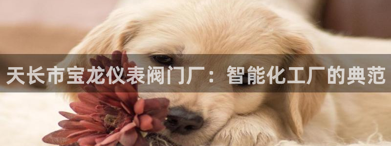云顶国际服怎么下载