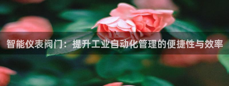 云顶国际KTV