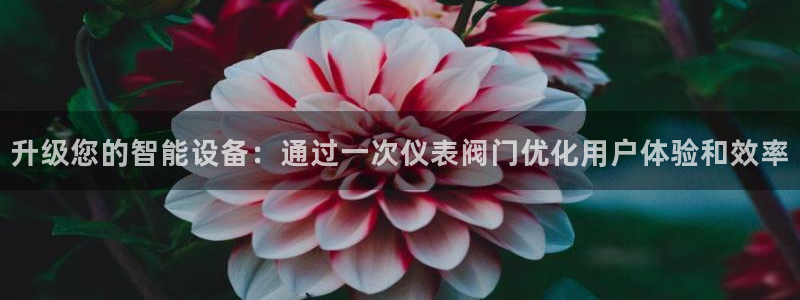 云顶国际宴会中心的凉菜