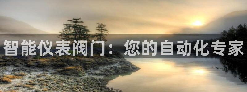 4008浏览器云顶下载