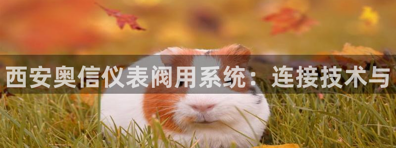 云顶国际版手游