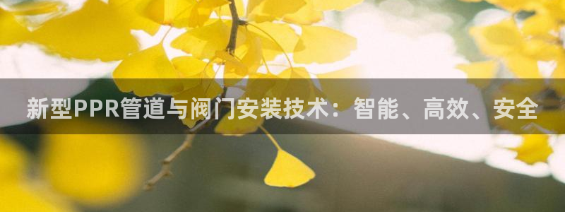 云顶国际官方网站入口