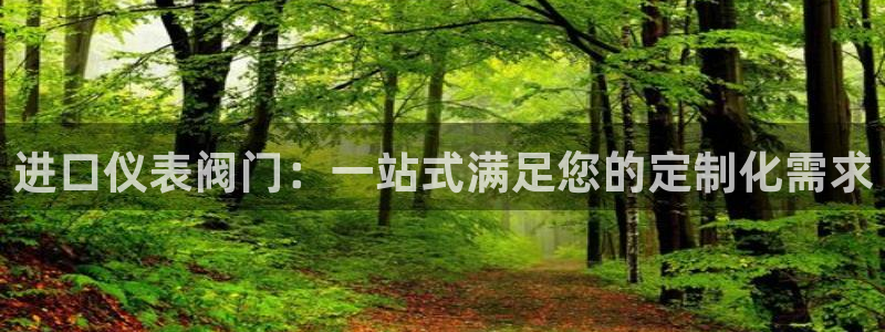 云顶国际服S9什么时候更新