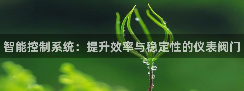 云顶集团董事长林东简历图片