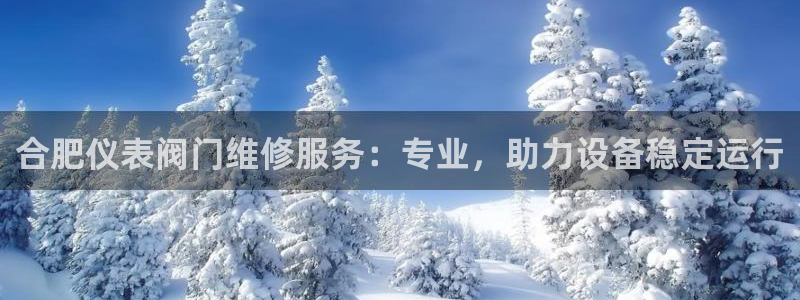 云顶国际商业广场 停车