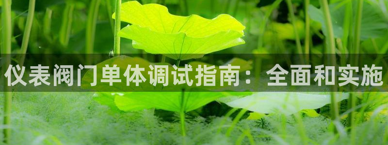 云顶国际服手游