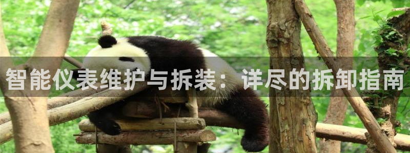 云顶国际app官方下载安装