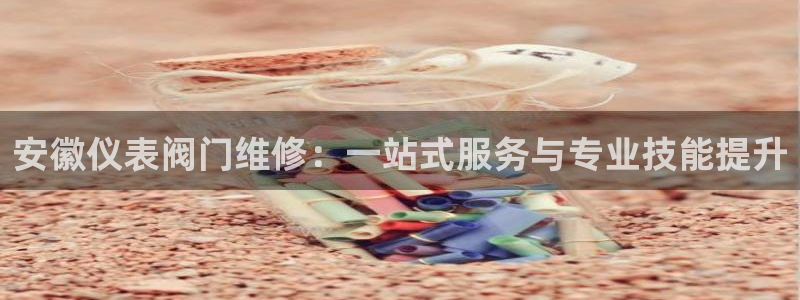 yd云顶国际