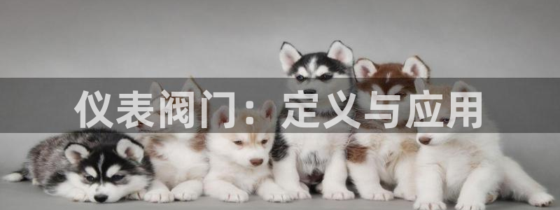 云顶国际服什么时候更新s108