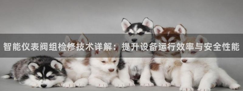 云顶国际官网下载安装