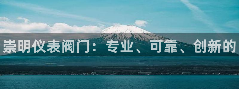 云顶国际旅行社