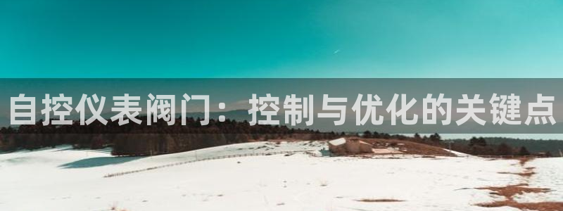 云顶集团简介概况