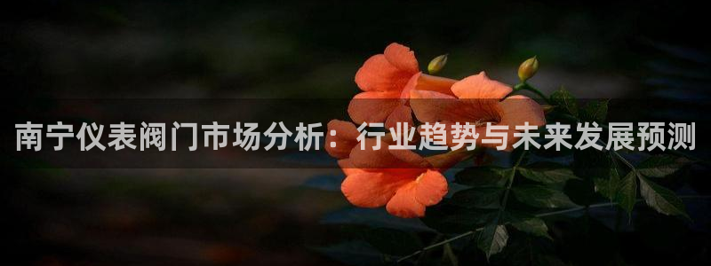 云顶国际4008服务平台