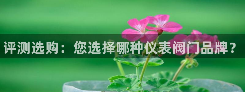 云顶国际二手房出售价格