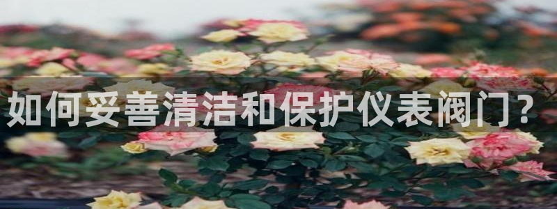 云顶国际是什么充值安全吗