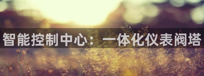 yd2333云顶电子游戏