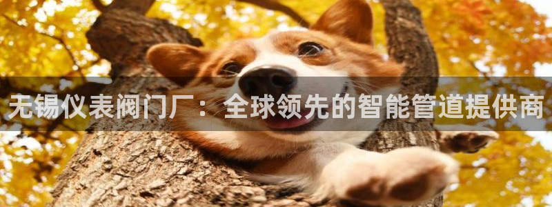 云顶国际大酒店位于哪个街道