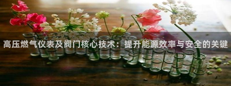 云顶集团简介资料