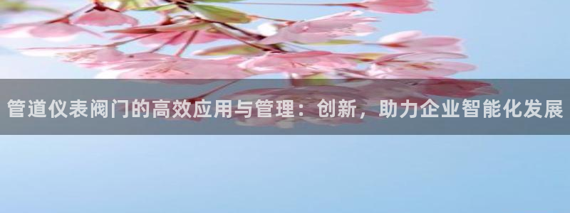 云顶线路快速检测中心