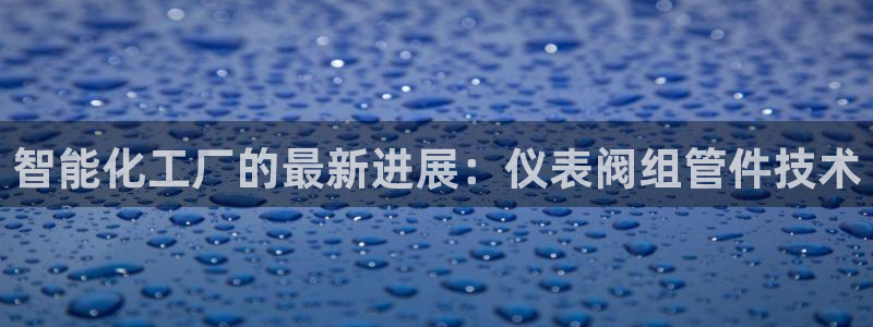 云顶国际服s9赛季什么时候出的