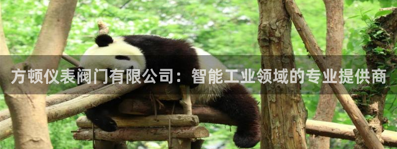 云顶线路快速检测中心